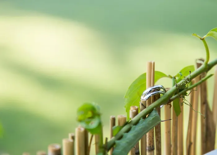 Eco Beach And Magic Garden Hotel