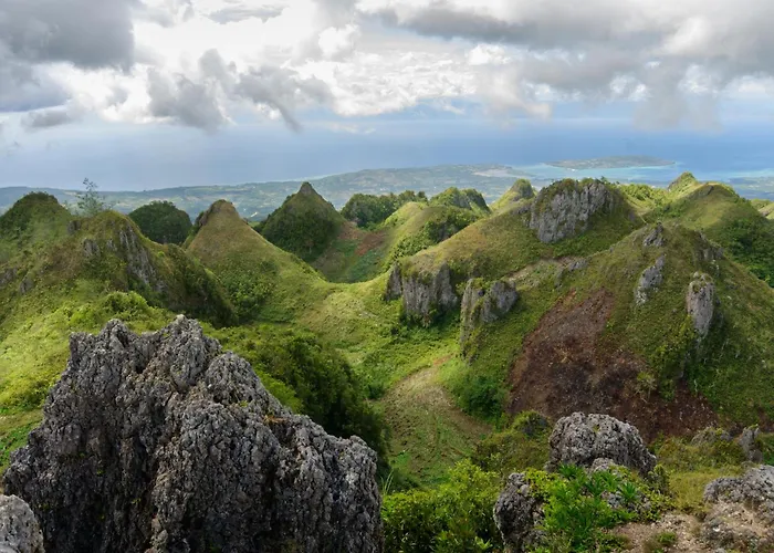 Moalboal Tropics