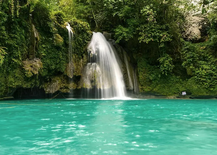 Moalboal Tropics
