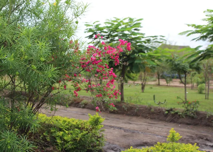 Euphorbia Safari Lodge