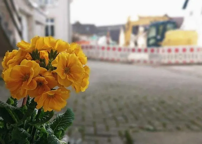 Ferien im Heckenland