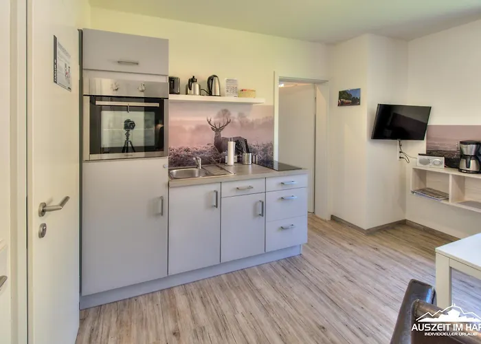 Auszeit-im-Harz Haus 2 Wohnung 4