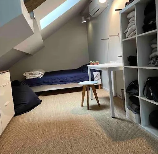 Appartement Loft Centre Ville Situe Dans Rue Calme