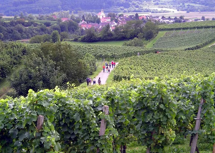 Ferienwohnung Storchenblick