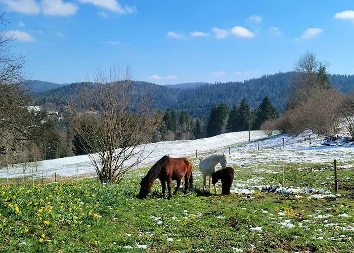 La Ferme Du Badon