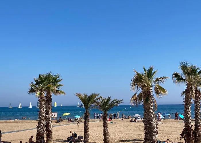 Cap Au Sud !