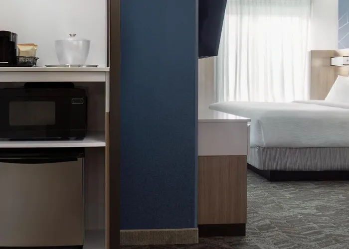 Springhill Suites By Marriott Pleasanton