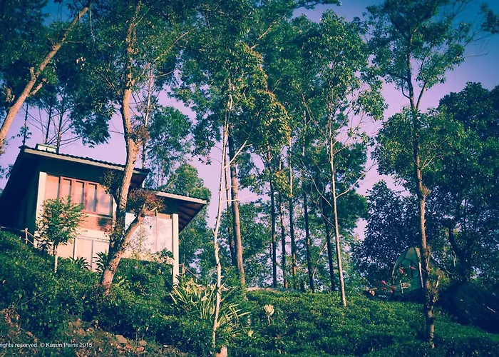 Tea Cottage Resort & Spa
