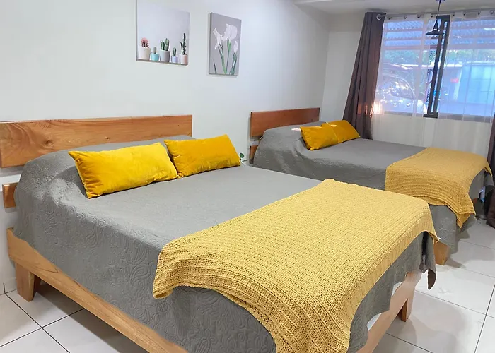 Apartamentos H Gonzalez. Wifi A/C Free Parking