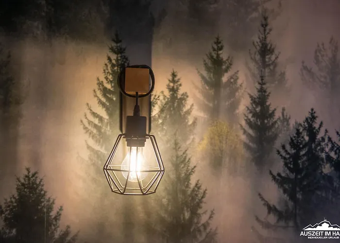 Auszeit-im-Harz Haus 1 Wohnung Schnarcherklippe