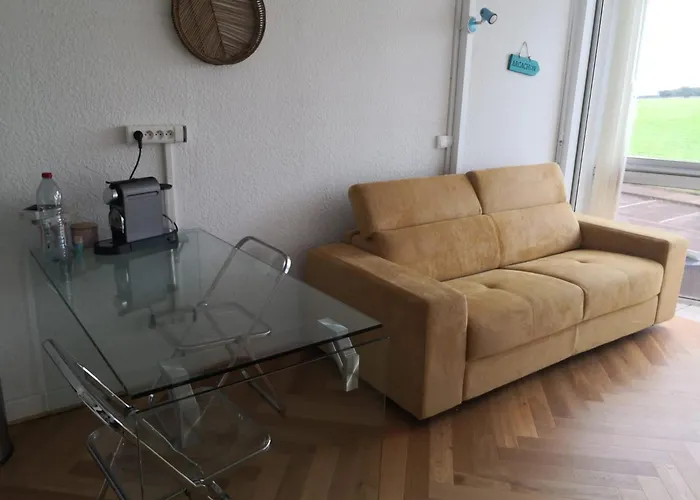 Appartement Biscarrosse Plage Front De Mer 4 Personnes