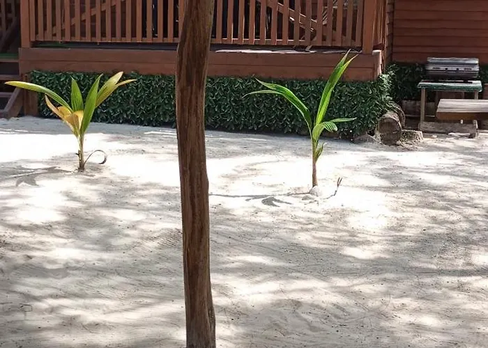 El Regalo El Cuyo