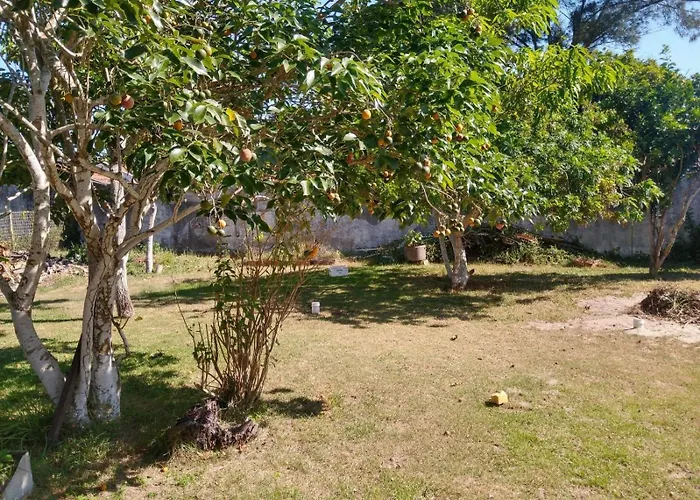 Solares le Venus apartamento proximo a praia