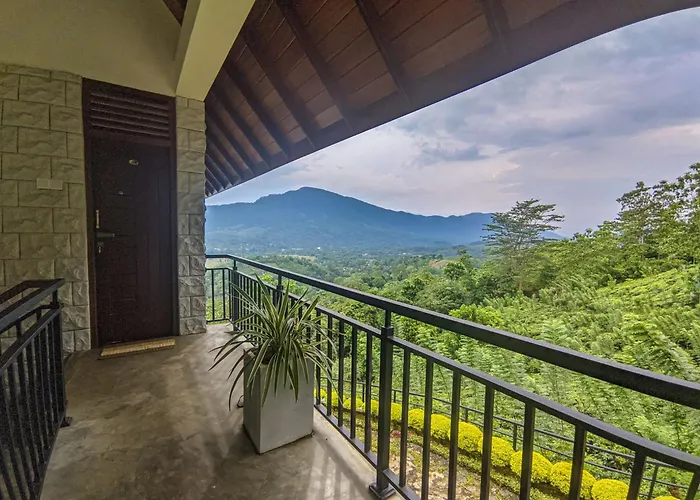 Terrace Cinnamon View