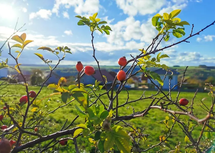 Ferienwohnung Löwenstern Niederstetten