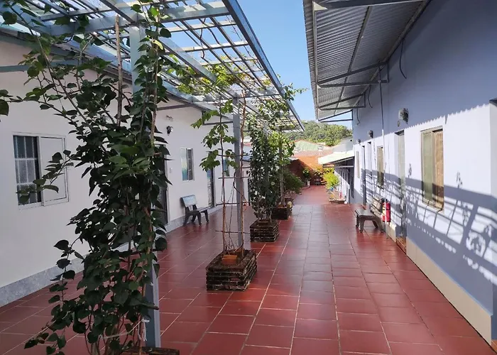 Nha Nghi Vuon Oai Huong Lavender Garden Guest House