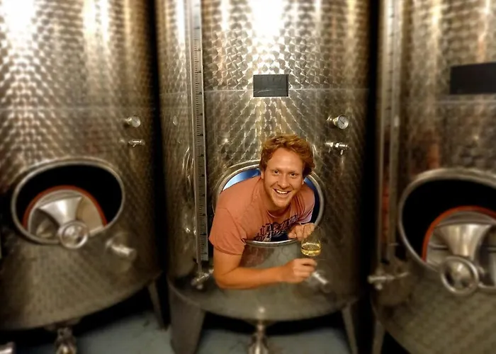 Ferienweingut Gansen / Hochgenuss 1