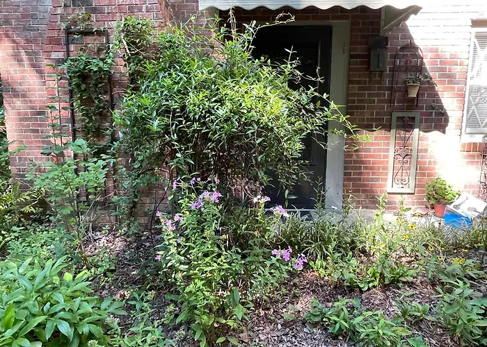 Mary'S Place - Studio Surrounded By Nature But Close To High Point