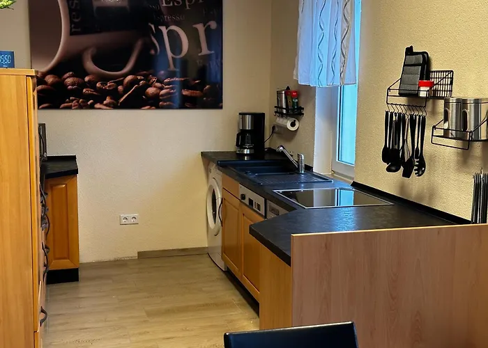 Cats Home And Apartment