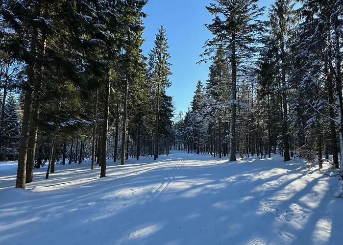 Mitterdorf Almberg x29