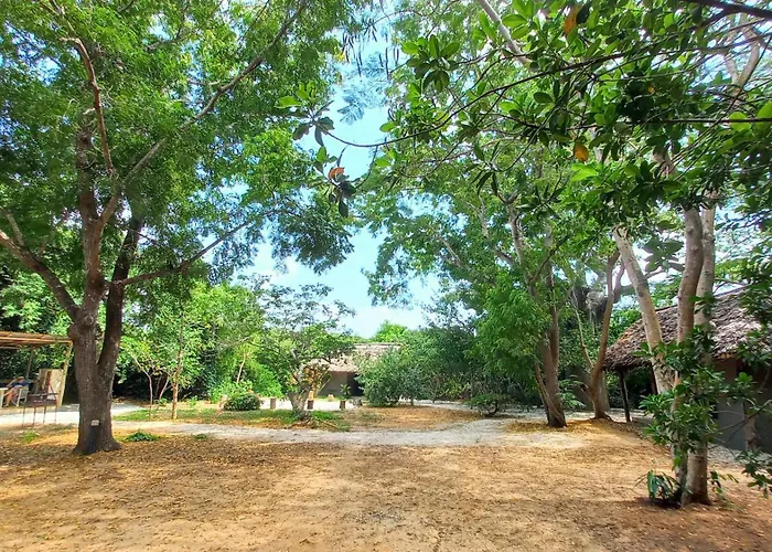 Bamba Kofi Beach Lodge