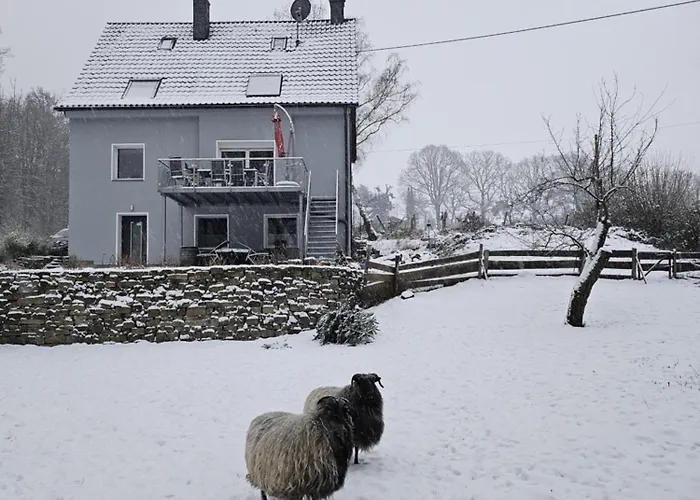 Souterrainwohnung im Grünen