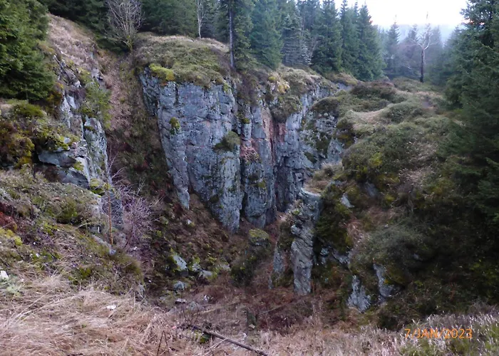 Natur pur im Erzgebirge
