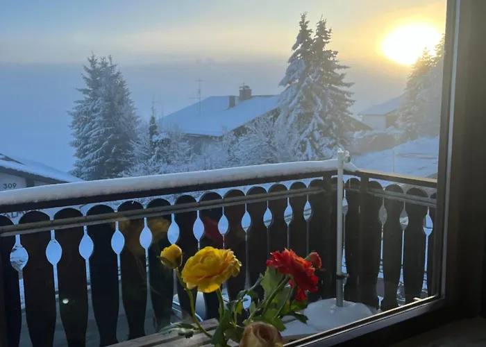 Helle Wohnung mit großem Balkon