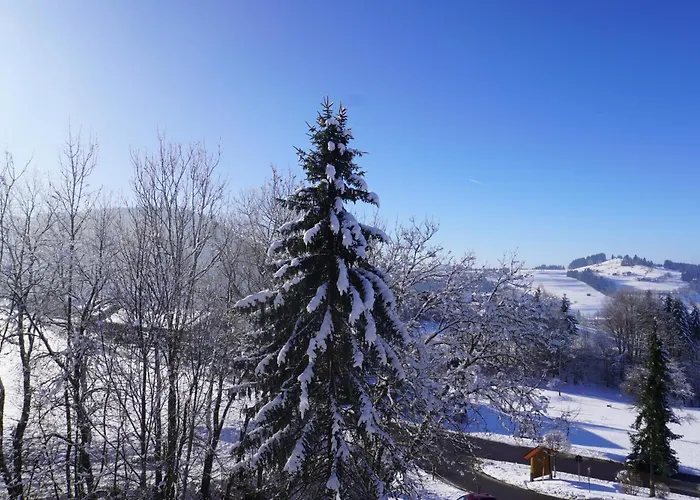 FeWo AllgäuZeit mit Hallenbad&Sauna&kostenlosem WLAN