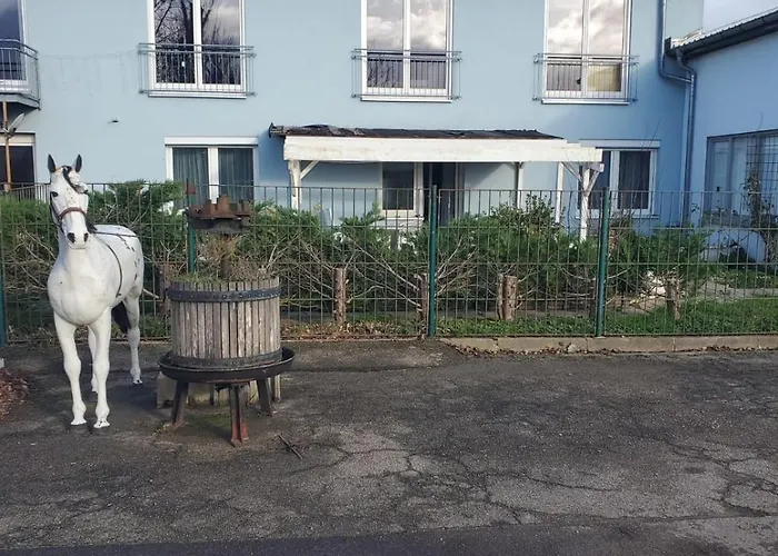 Große 3 Zi Wohnung auf der Pferde Farm