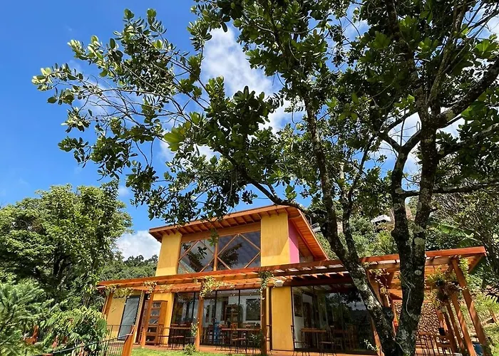 Terra De Kuri