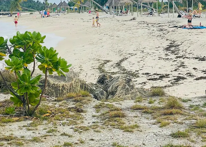 La Isla Tropica