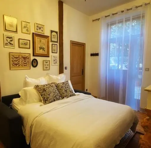 Cocon Cosy Dans La Ville Rose
