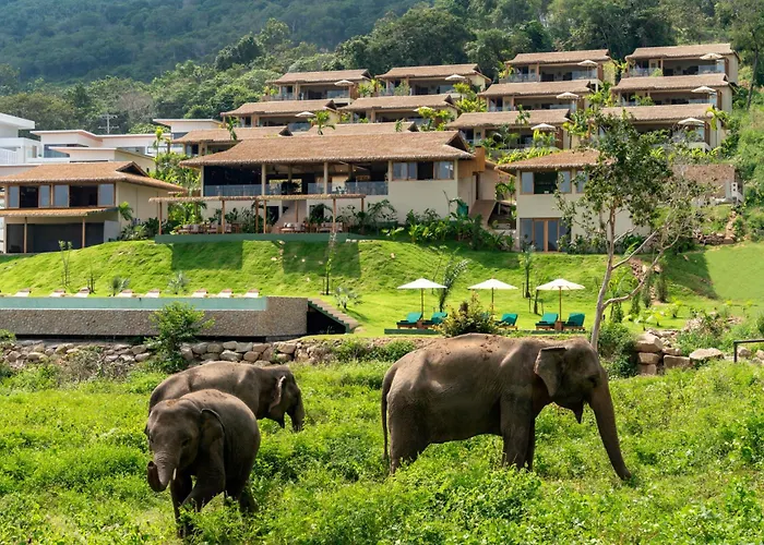 Wild Cottages Elephant Sanctuary Resort