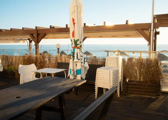 Wax Suite Life Is A Beach