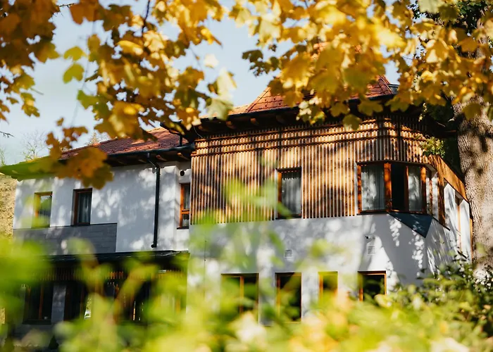 Villa Bellini Borszek