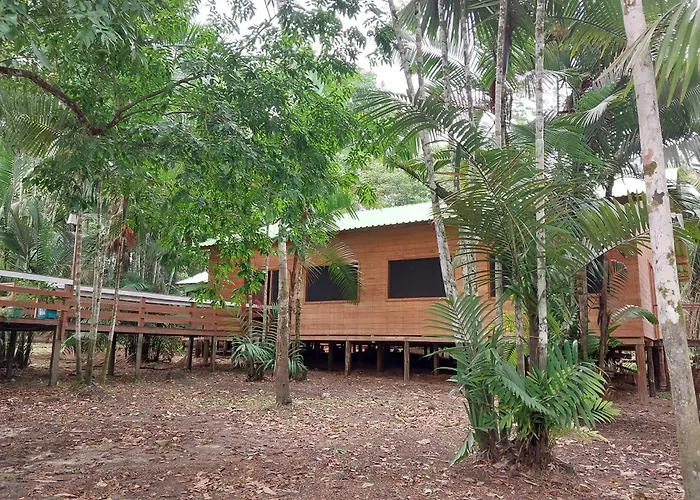Seringueira jungle Lodge