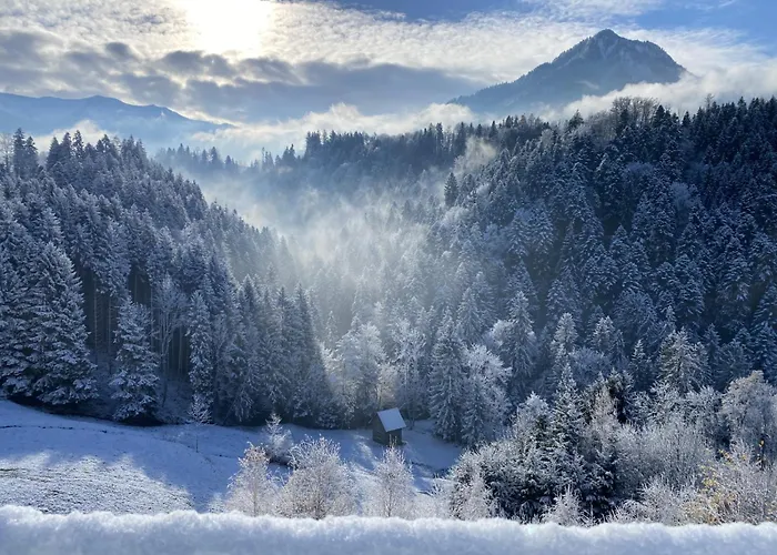 Wohnung Staufenblick und Wohnung Firstblick