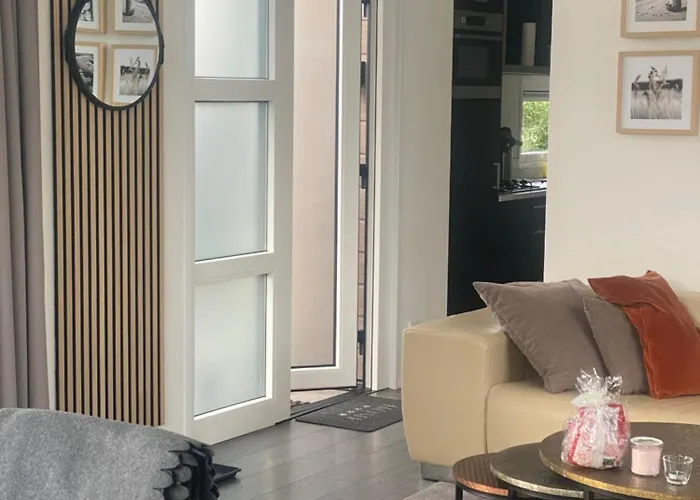 LUXUS Cube Ferienhaus Chalet am See mit Schwimmbad in Lathum NL