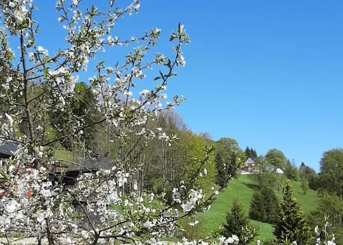 Gemütliches Apartment am Gottesberg