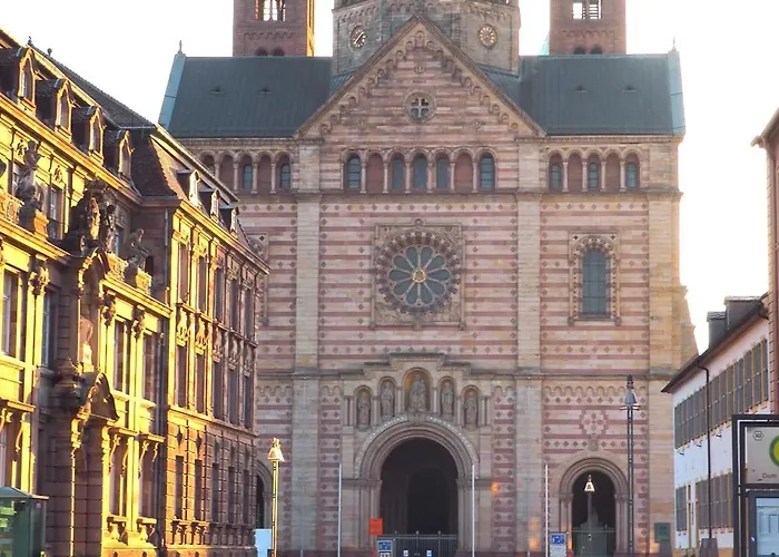 Hortensie Speyer
