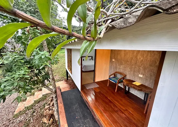 Jungle Guest House