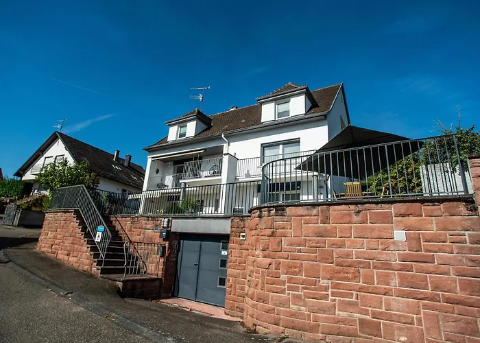 Gite Les Deux Belettes - Appartements Meubles A Riquewihr - Vue Vignoble
