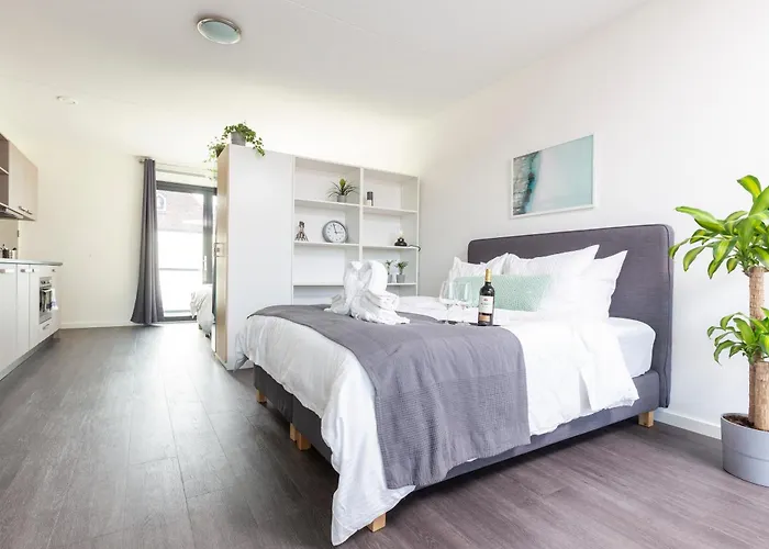 Family Executive Studio With Balcony Open Delft Utopia Flora 20F