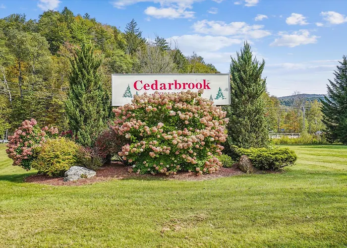 219 Cedarbrook Hotel Room