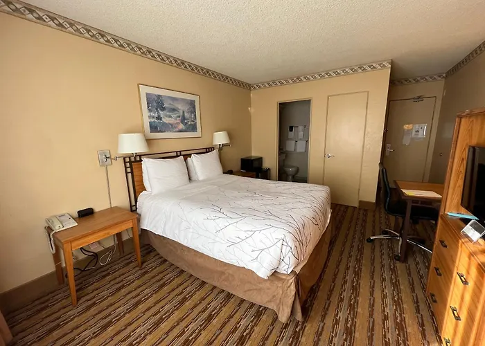 Travelodge By Wyndham Seattle By The Space Needle