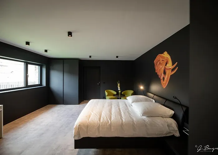 Boutique Hôtel, La Cour de la Reine&Rooftop