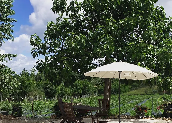 Quinta Vale Salgueiro