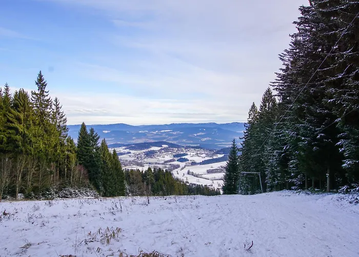 Charmante Ferienwohnung mit Sauna und Schwimmbad im zauberhaften Bayerischen Wald