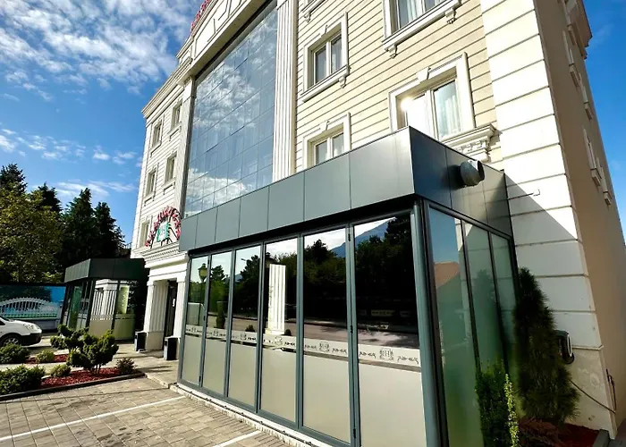 Hotel Borea